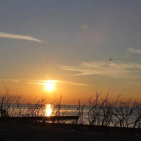 Apartment Apartament Diune Sulkowskiego 4a *